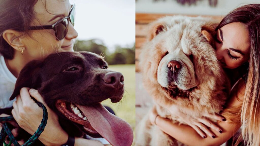 why some women make love with dogs
